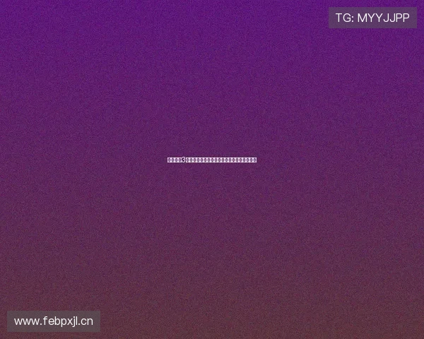 鲨鱼搜索3点零破解版功能解析与安全使用全面指南探索